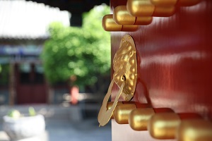北麓书院学校环境