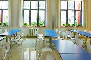 国际学校招生