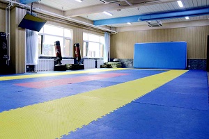 北京新学道临川学校国际部校园环境