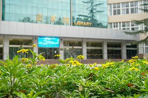 电子科技大学国际课程中心图书馆