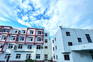 国际学校招生