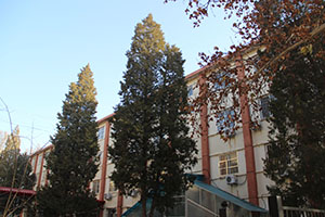 华油荣德小学校园环境