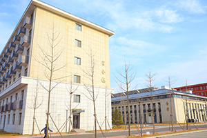 青岛博格思加州学校校园一角