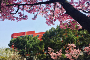 闵行汇点高中校园环境