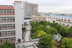 国际学校招生