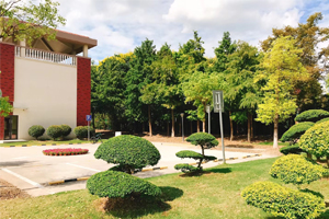 上海天华学院国际中本贯通项目校园环境