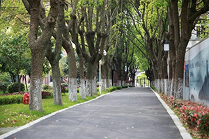 苏州阿德科特学校校园道路