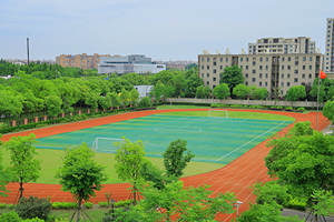 TICC存志学校运动场