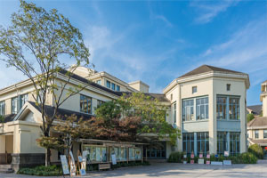 国际学校招生