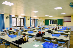 国际学校招生