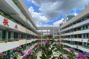 深圳云顶博朤书院校园环境