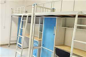 国际学校招生