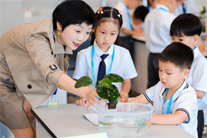 广州博萃德学校活动